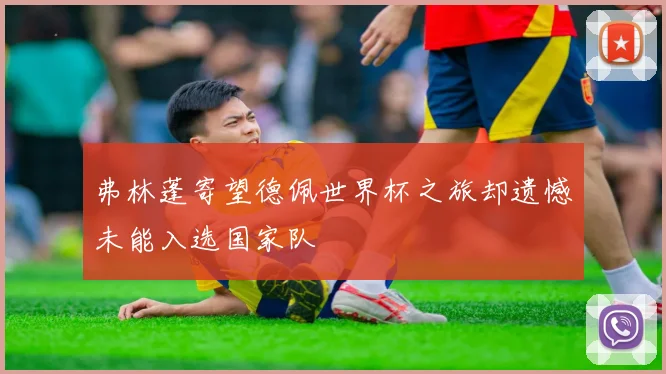 弗林蓬寄望德佩世界杯之旅却遗憾未能入选国家队